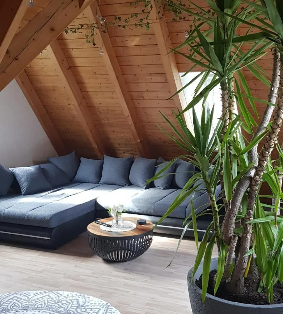 Apartment Am Ronhof Fürth Německo