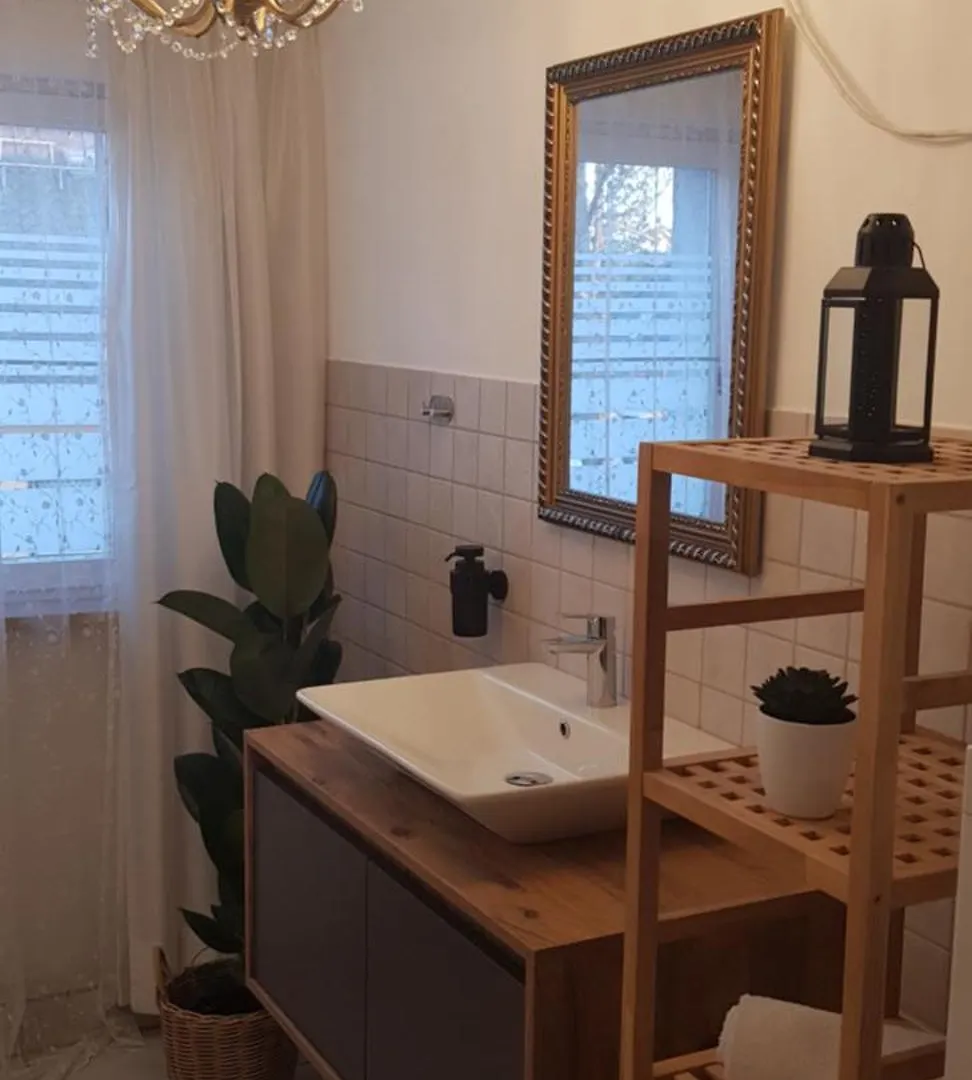 Apartment Am Ronhof Fürth